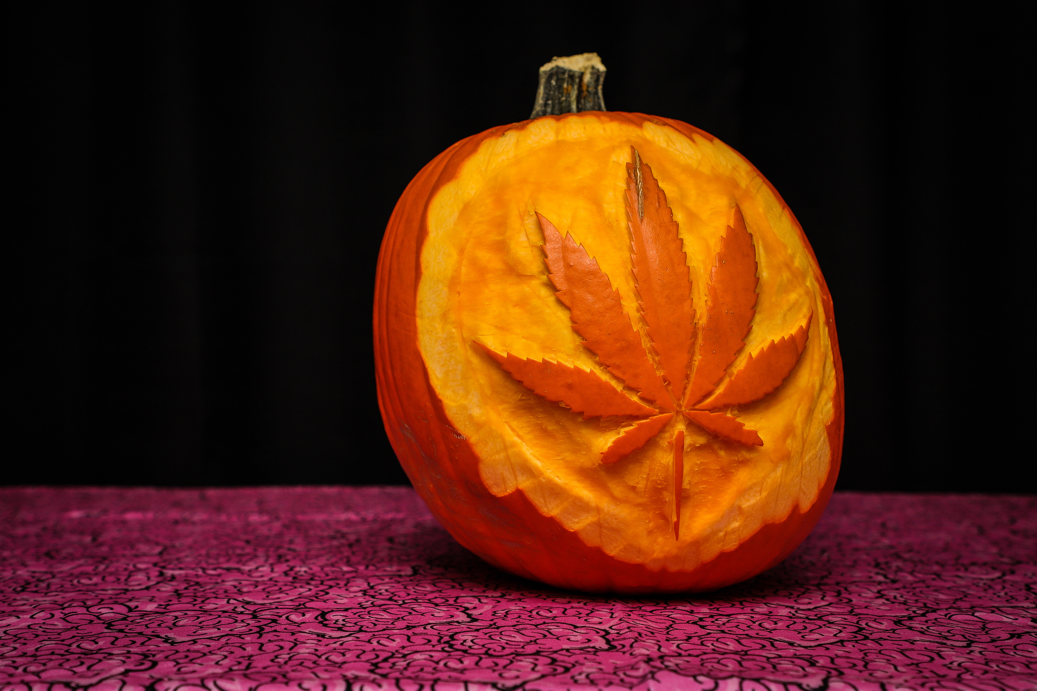 Cannabis leaf carved into pumpkin