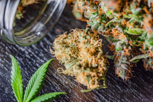 The use of cannabis as medicine has not been rigorously tested due to production and governmental restrictions, resulting in limited clinical research to define the safety and efficacy of using cannabis to treat diseases.